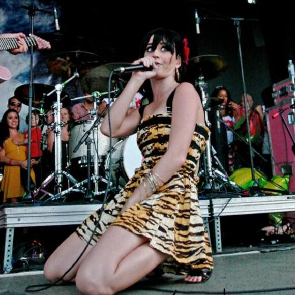D&G Tiger Print Dress ASO Sharpay Evans & Katy Perry - Picture 7 of 12